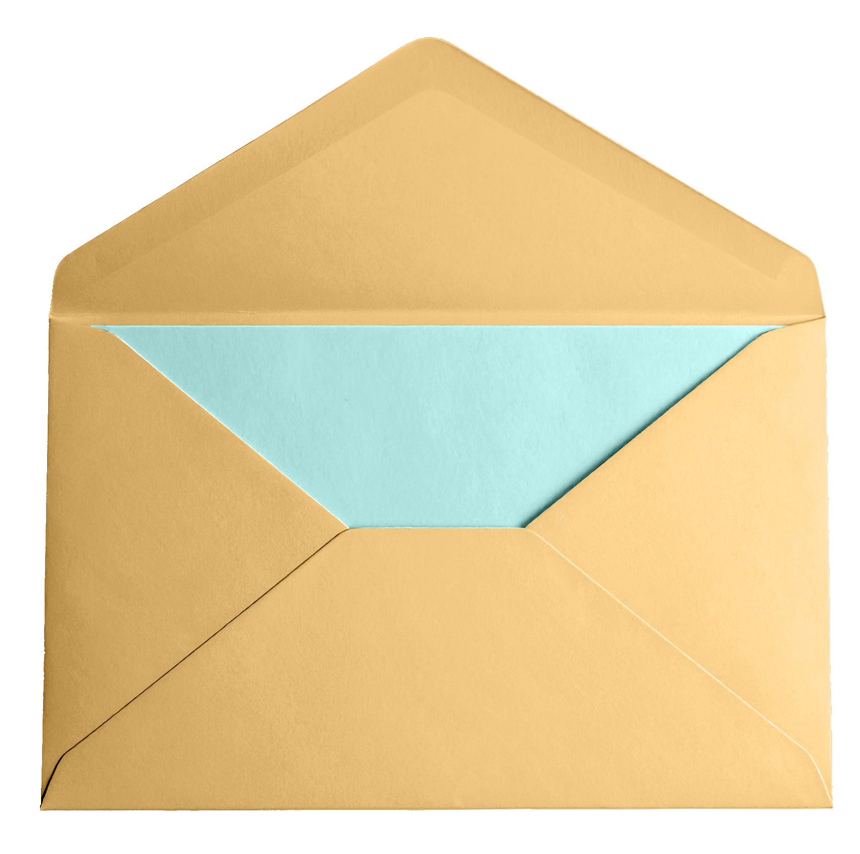 A brown envelope with a light blue inner flap, open and empty. A brown envelope with a light blue inner flap, open and empty.